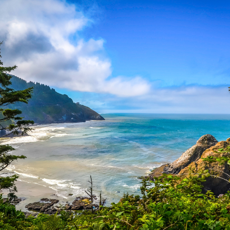 Scenic view of Oregon - Coastal