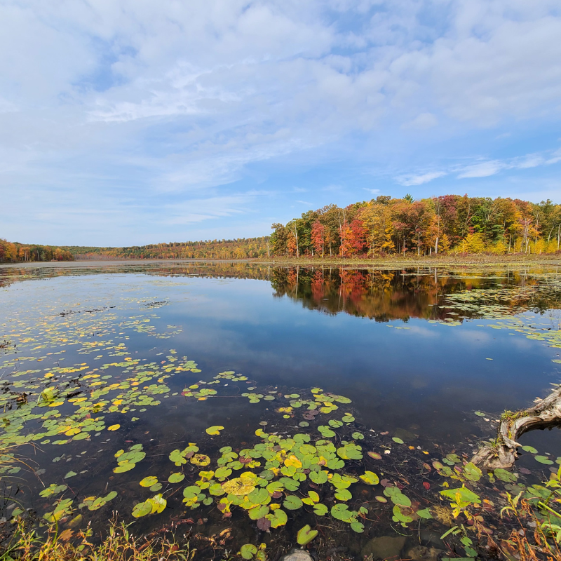 Scenic view of Poconos