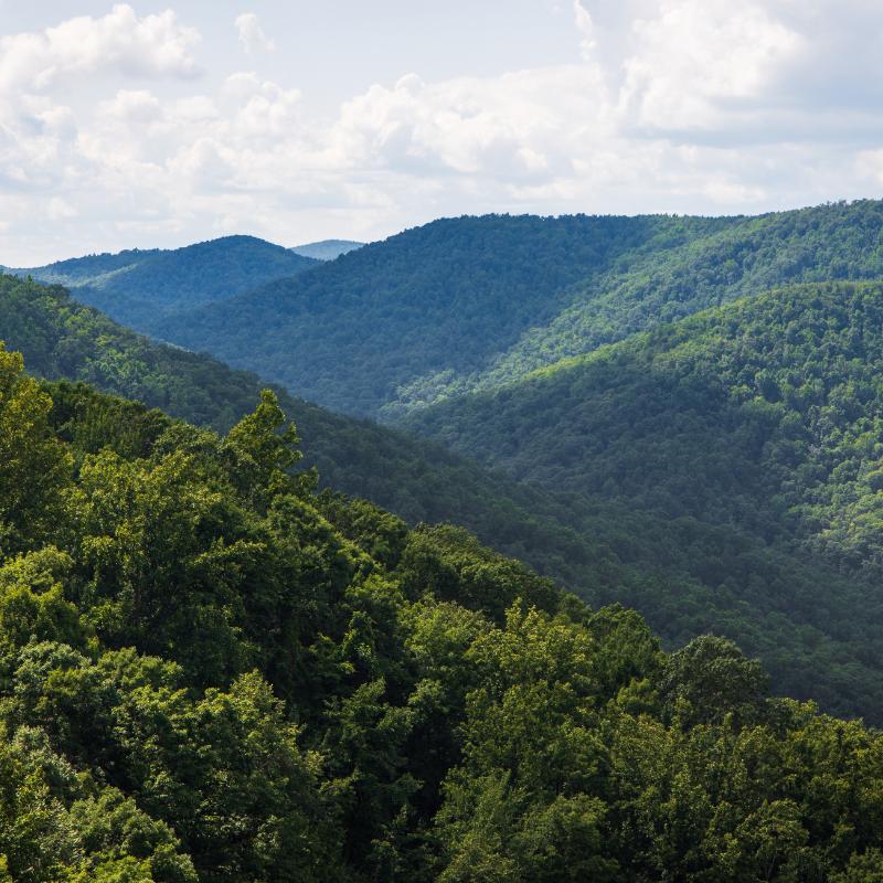 Scenic view of Shenandoah Valley